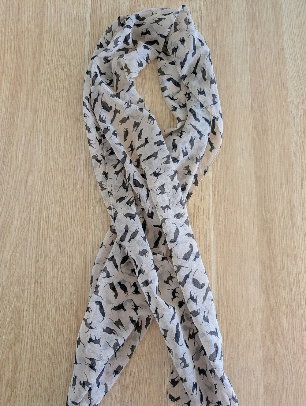 🐱 Cats Chiffon Scarf